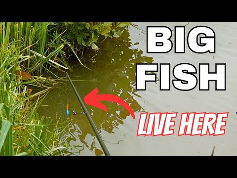 MARGIN MADNESS!!! CARP FISHING on the POLE + FISHING HOLIDAY GIVEAWAY!!!