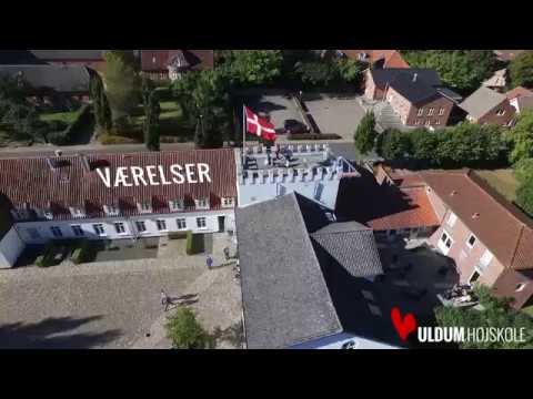 Uldum Højskole set fra luften