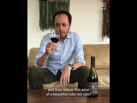 Pinot Noir Estate Reserve Morandé 2018 English sub