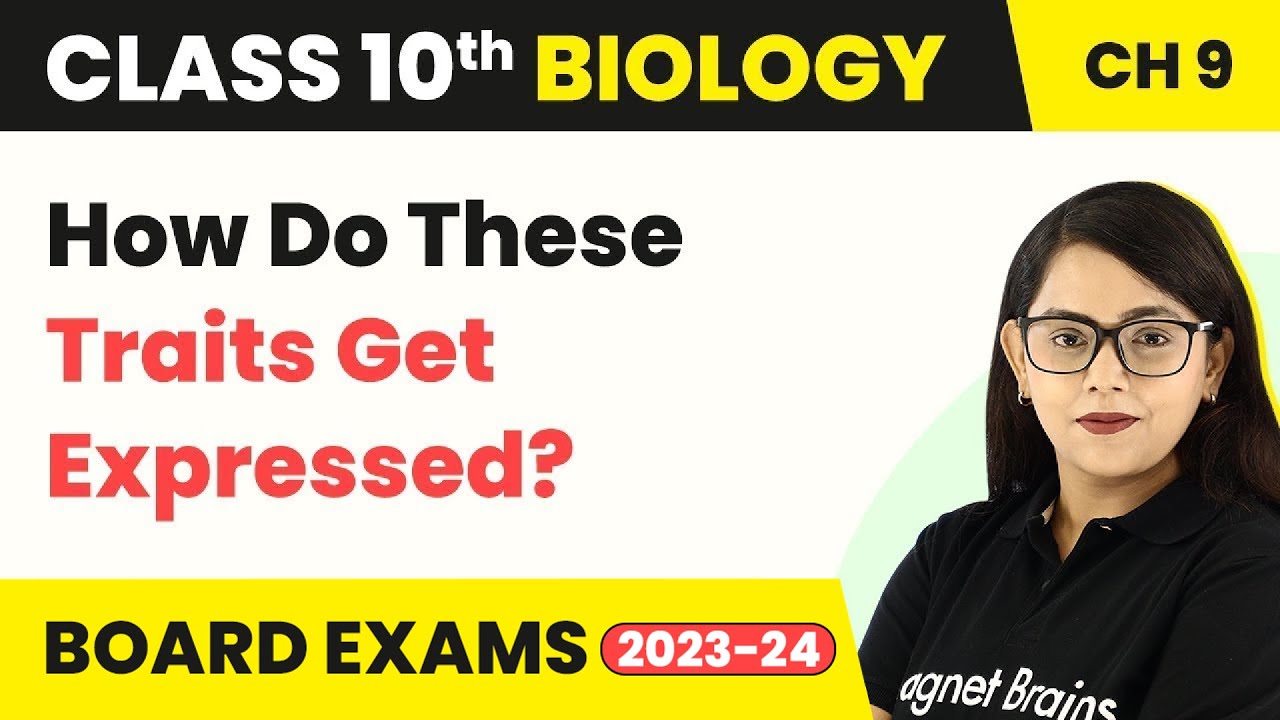 Class 10 Biology Chapter 9 | How Do These Traits Get Expressed? - Heredity And Evolution