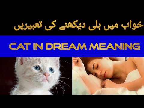 KHWAB MEIN BILLI DEKHNA | CAT IN DREAM MEANNING | KHAWAB NAMA | KHWAB NAMA