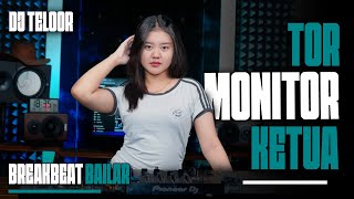 Download lagu BREAKBEAT BAILAR | TOR MONITOR KETUA | REMIX DJ TELOOR  mp3