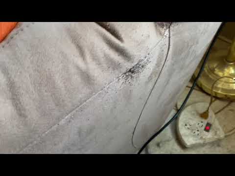 Bed Bugs Love the New Recliner in Freehold, NJ