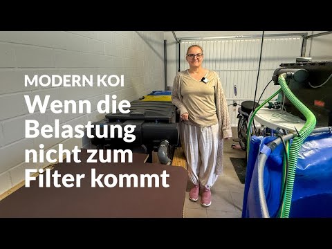 Janas Filteranlage: stark gebaut, aber unterversorgt | Modern Koi Blog #7821