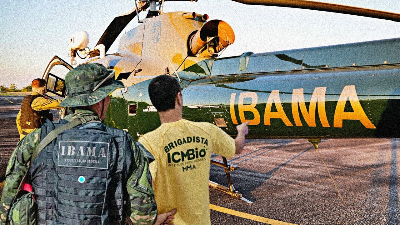 o que FAZ o ANALISTA AMBIENTAL E TÉCNICO AMBIENTAL - IBAMA E ICMBIO