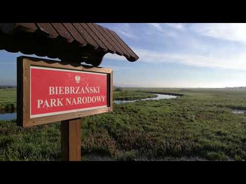 Poranek nad Biebrzą - most w Dolistowie Starym - Biebrzański Park Narodowy