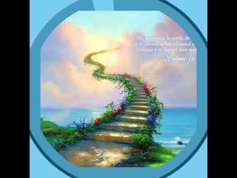 Renato Sánchez porque eres digno 2017