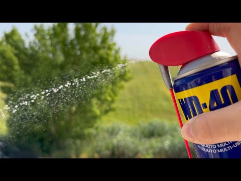 17 Uses for WD-40  Everyone Should Know
