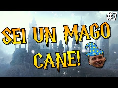 SEI UN MAGO CANE! - CANE HIGHLIGHTS [#7