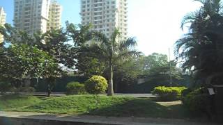 Neelkanth Greens Juniper