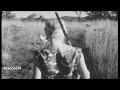 Beginnings of the 2nd Chimurenga | Rhodesia | Attacks on Farmers | June 1966
