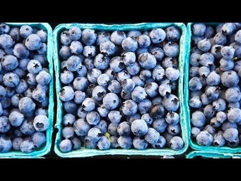 Can What You Eat Help Prevent Alzheimer's Disease?