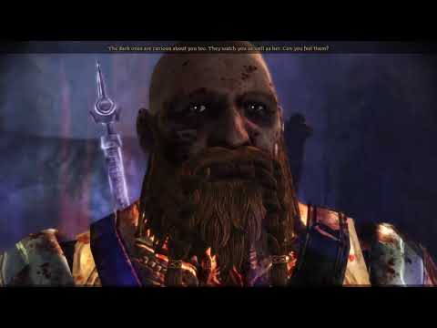 Dragon Age Origins Solo Rogue 29 - The Wending Wood