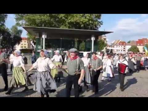 9. Danetzare 2015 in Erfurt - Festzug vom Domplatz