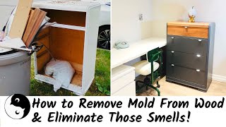 How to Get Smell out of Old Furniture | Birdz of a Feather