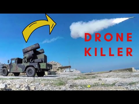 Ukraine drone KILLER | Avenger Air Defense System 🇷🇺🇺🇦