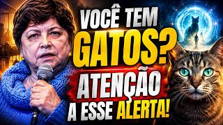 ATENÇÃO: SE VOCÊ TEM GATOS, PRECISA SABER O QUE ESTÁ ACONTECENDO | MÔNICA DE MEDEIROS