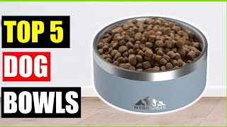 "Top 5 Best Dog Bowls of (2026) – Keep Your Pup Healthy