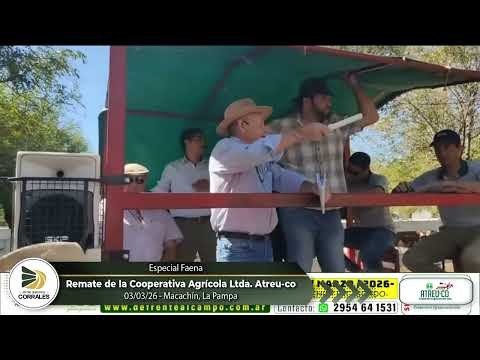 03-03-26 - Remate de la Cooperativa Agrícola Ltda.  Atreu-co - Macachín, La Pampa