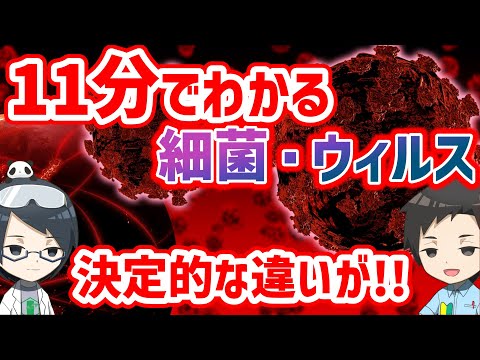 DNA ウイルスについて詳しく解説