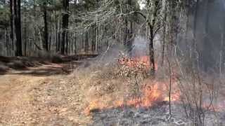 preview picture of video 'Talladega National Forest Prescribed Fire'