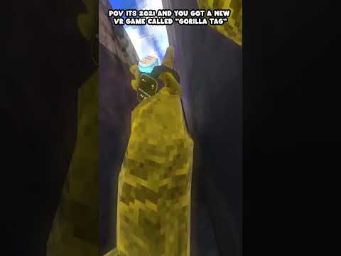 Pov Its 2021 And You Got A New Vr Game Called "Gorilla Tag"  #gorillatag #gorillatagquest #vr