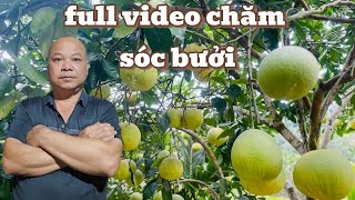 Solution to Treat Cat Que & Green-Skin Grapefruit | No Yellow Fruit, Early Ripening, No Heaviness...