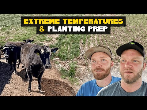 Extreme Temperatures Planting Prep Cattle Adventures