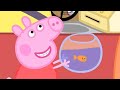 Peppa Pig Full Episodes Goldie The Fish Cartoons For Children