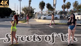 The Streets of LA - Figueroa Street - Part 2  Los 