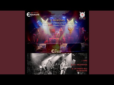 Un prato blu oltremare (Live)