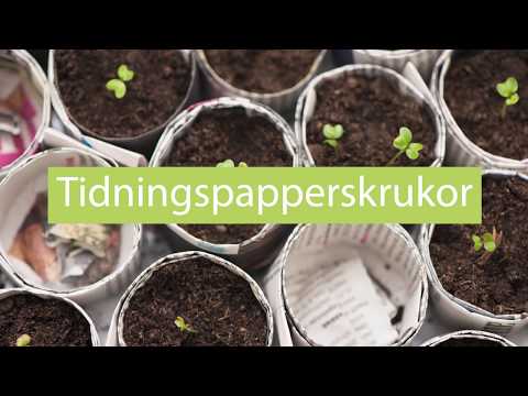 Tidningspapperskrukor