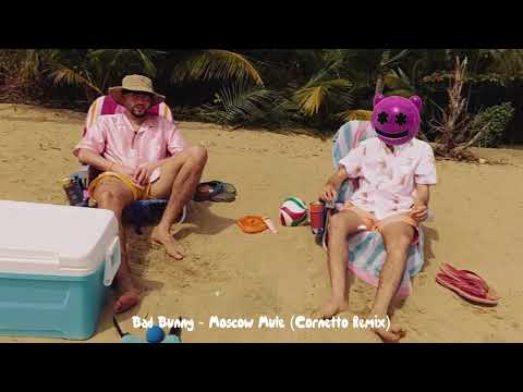 Bad Bunny - Moscow Mule (Cornetto Cover)