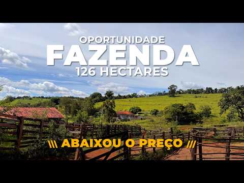 FAZENDA 126 HA DE R$ 5 MI POR R$ 3,8 MI E POSSIBILIDADE DE AGREGAR + 89 HA