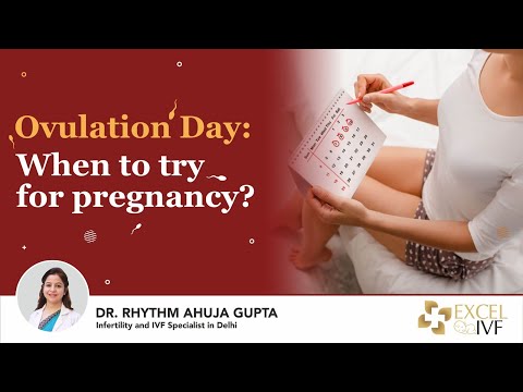 Ovulation Day: When to try for pregnancy? Dr Rhythm Gupta - IVF Specialist in Delhi, Excel IVF