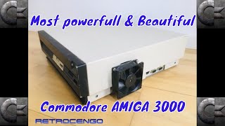 Most powerfull Commodore AMIGA 3000 so beautiful (Warning: Sarcasim!!)