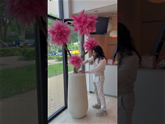 Vídeo relacionado con Bannifll Hierba de Pampas Natural de 40 Pulgadas de Altura con 10 Tallos Bodas, Fiestas, decoración de Estilo Granja y Boho en el hogar