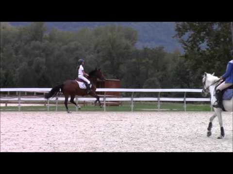 Samedi 3/10/2015 : Cours compet' Poney - C.H.A