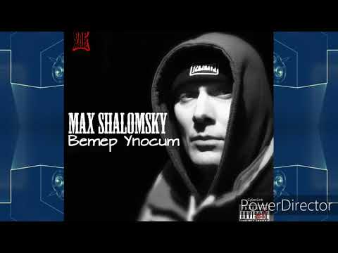Max Shalomsky-Ветер Уносит (REMIX 2020)