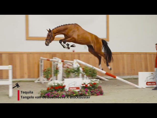 Tequila