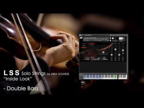 LSS Solo Strings - Double Bass INSIDE DEMO