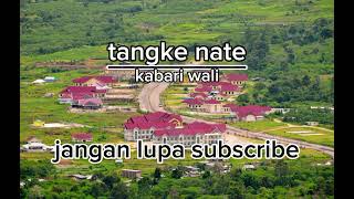 Download lagu lagu gayo tangke nate (KABRI WALI) mp3 Download lagu lagu gayo tangke nate (KABRI WALI) mp3