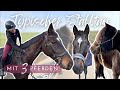 Alltag Mit 3 Pferden Inlinern Ausreiten Misten