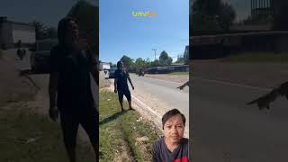 Download lagu PENANGKAPAN PENJAHAT KEBAL SENJATA #shorts #masukberanda mp3 Download lagu PENANGKAPAN PENJAHAT KEBAL SENJATA #shorts #masukberanda mp3