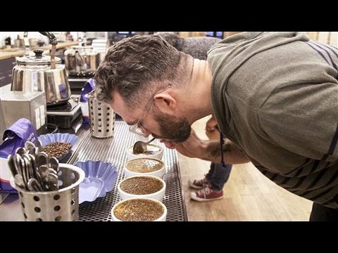 Coffee Connoisseurs Pursue Perfect Cup of Joe