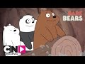 Wildwaterbaan | Wat Beren Leren | Cartoon Network