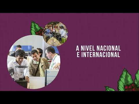 CAFES DE COLOMBIA EXPO