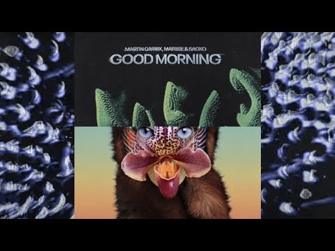 Martin Garrix + Matisse & Sadko vs. Galantis - Good Morning, I Got No Money (Mikkerj Mashup)