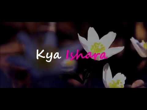 DJ rimix song 🤘 BHAVIK 🤘