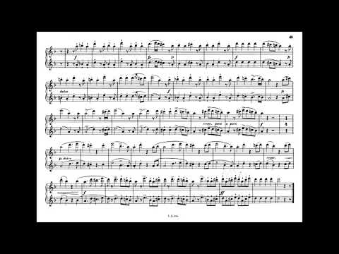 Sonatine 6 in D-Moll aus „Jugendfreuden“ op.163 von A. Diabelli, Klavier vierhändig, komplett